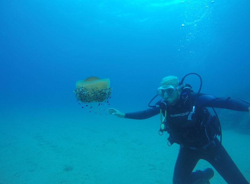 Lloret de Mar: Scuba Diving Experience no License Required - Moving from the sheltered bay to the Costa Brava