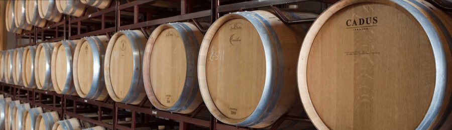 Llucmajor: Bodegas Bordoy Wine Tour - The production room and barrel room