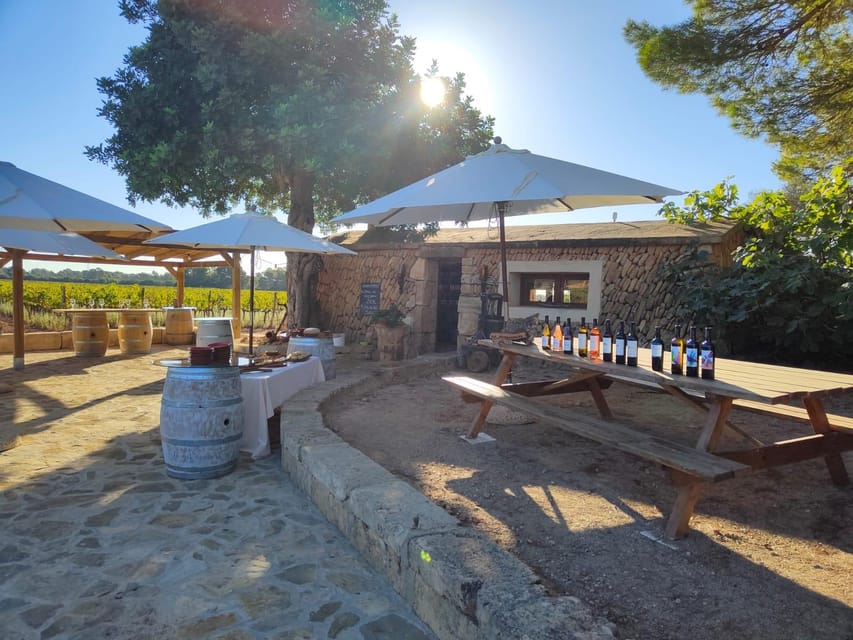 Llucmajor: Bodegas Bordoy Wine Tour - Arriving at Bodegas Bordoy near Hyatt Zoetry Mallorca
