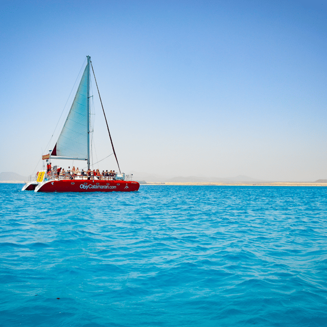 Lobos Island: 4-Hour Catamaran Trip with Lunch - Key details before you book