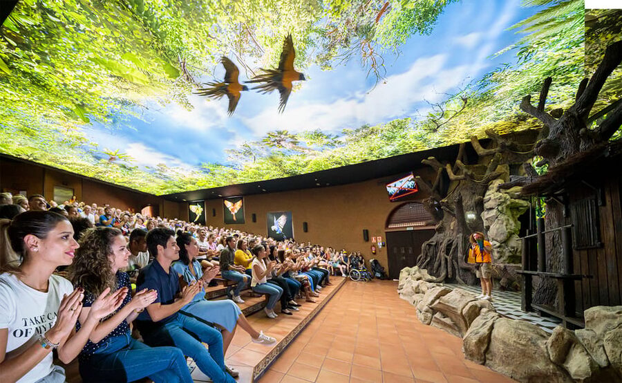 Loro Parque and Siam Park Combined Admission Tickets - Key points to know before you book