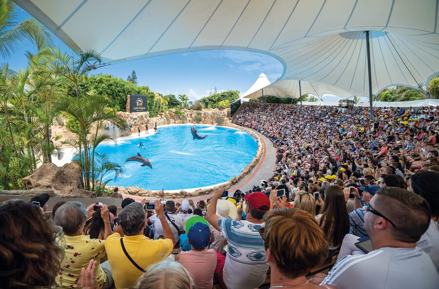 Loro Parque and Siam Park Combined Admission Tickets - Should you book the combined ticket?
