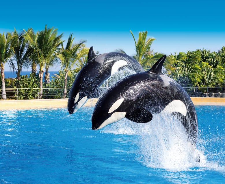 Loro Parque and Siam Park Combined Admission Tickets - Kinderlandia gives younger children their own territory