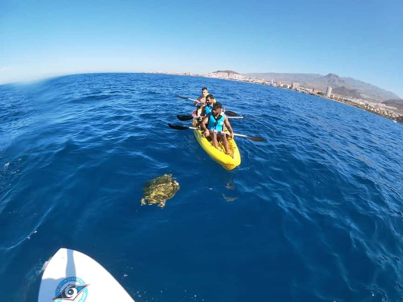 Los Cristianos: Kayak and Snorkel with Turtles and Photos - Who should book this kayaking trip?