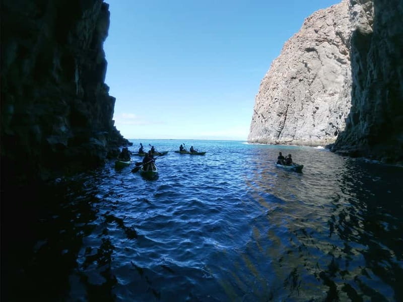 Los Cristianos: Kayak and Snorkel with Turtles and Photos - Starting beside Los Cristianos Beach