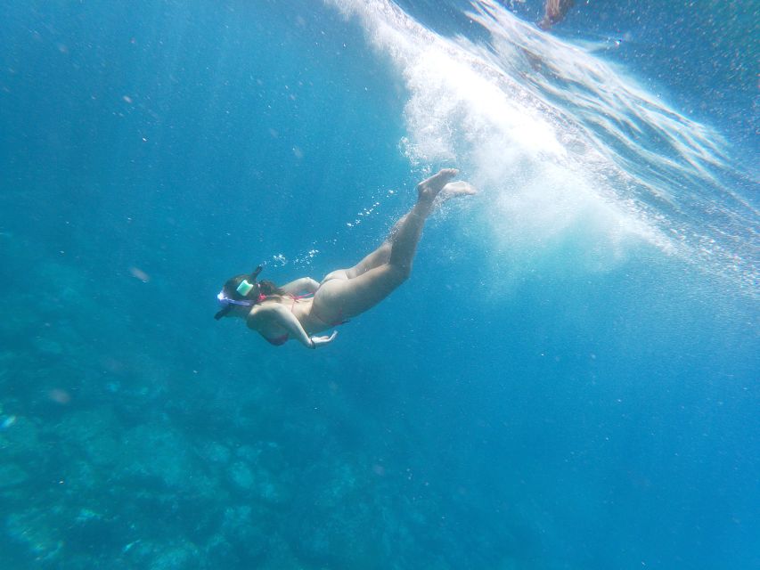 Los Cristianos: Kayak and Snorkel with Turtles and Photos - Guides who add real value