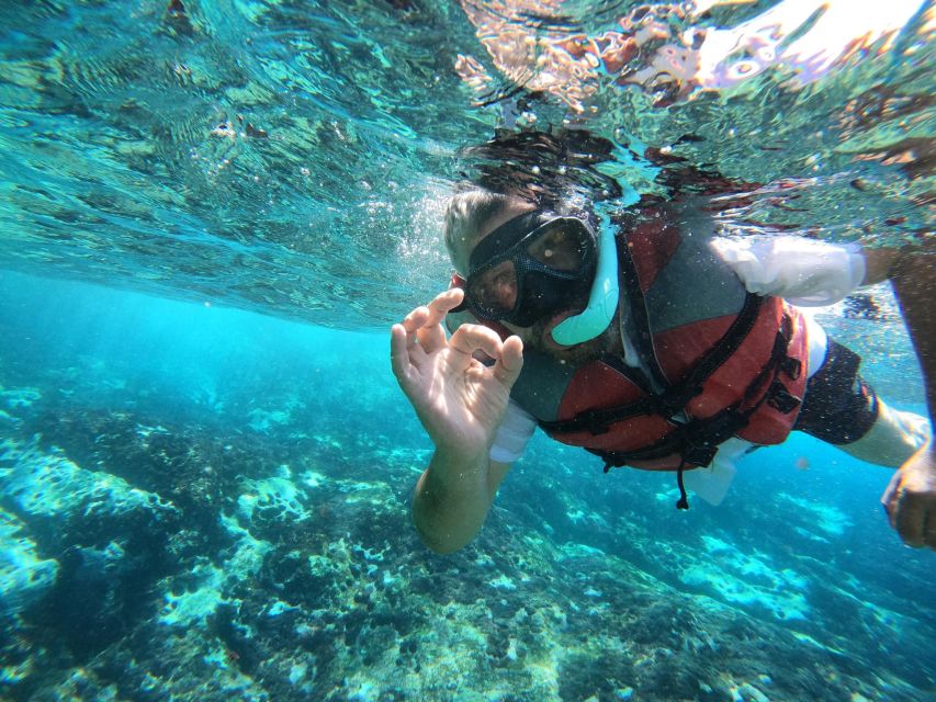 Los Cristianos: Kayaking and Snorkeling with Marine Wildlife - What the $53 price includes