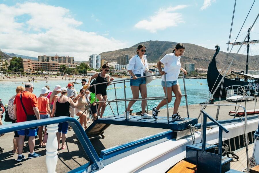 Los Cristianos Respectful No-Chase Whale and Dolphin Safari - Key points at a glance