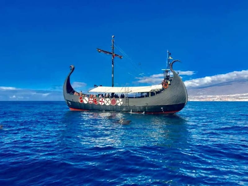 Los Cristianos: Viking Cruise Whales & Dolphins Watching - Key points before you book