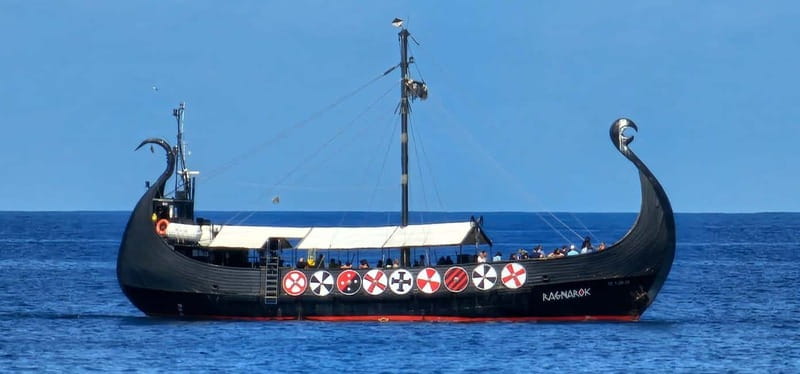 Los Cristianos: Viking Cruise Whales & Dolphins Watching - Is $20 a fair price?