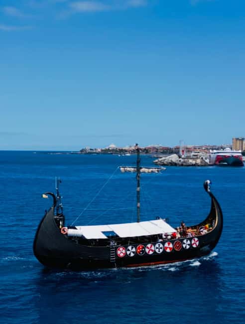Los Cristianos: Viking Cruise Whales & Dolphins Watching - Accessibility and family suitability