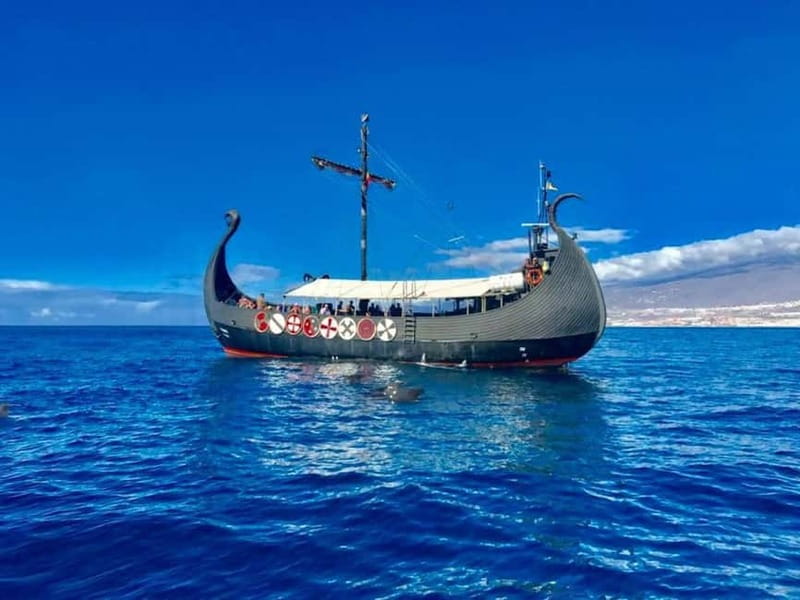 Los Cristianos: Whale Watching Cruise w/Swim Stop & Drinks - Key points to know before boarding