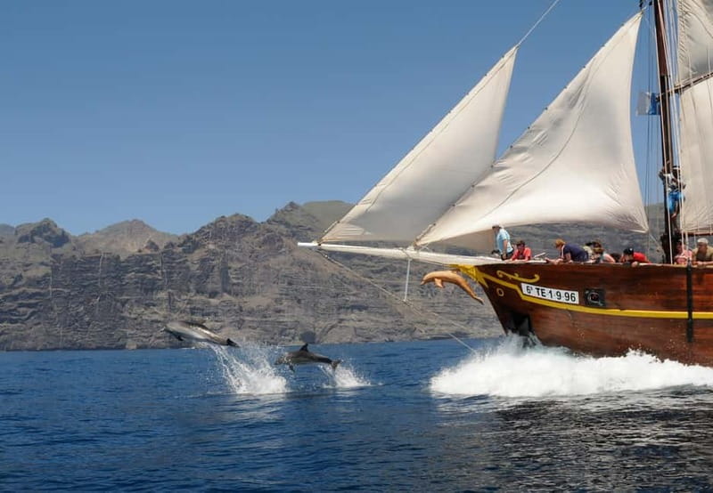 Los Gigantes: Dolphin and Whale Watching Tour with Drinks - Key points to know before booking