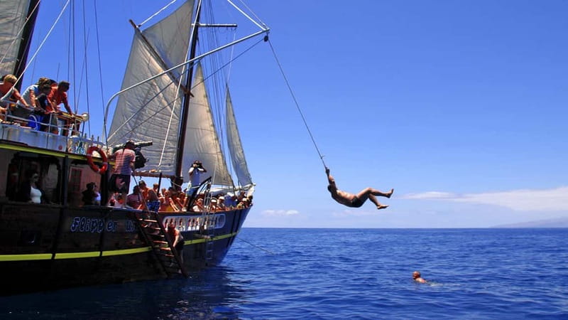 Los Gigantes: Dolphin and Whale Watching Tour with Drinks - Practical tips for a smoother trip