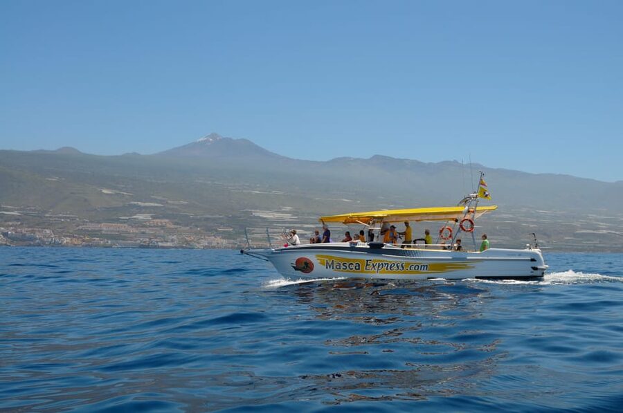 Los Gigantes: Dolphin & Whale Watching Cruise with Swim Stop - Setting out from Los Gigantes Port