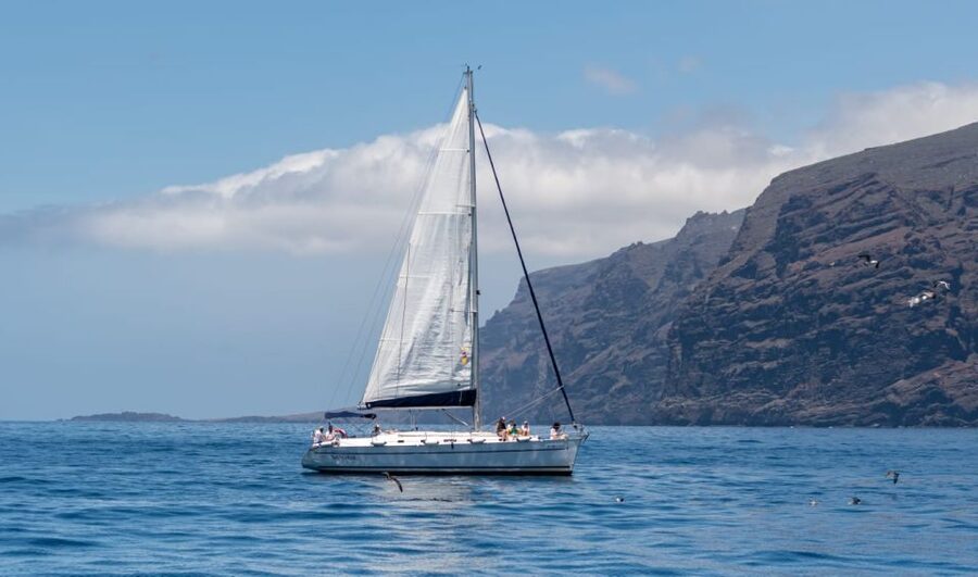 Los Gigantes: Sailing Excursion with Swimming, Drink & Tapas - Sailing out from Puerto de Los Gigantes