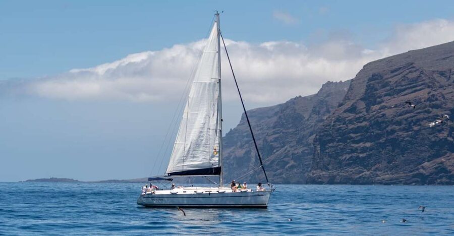 Los Gigantes: Sailing Excursion with Swimming, Drink & Tapas - The Los Gigantes cliffs from the sea