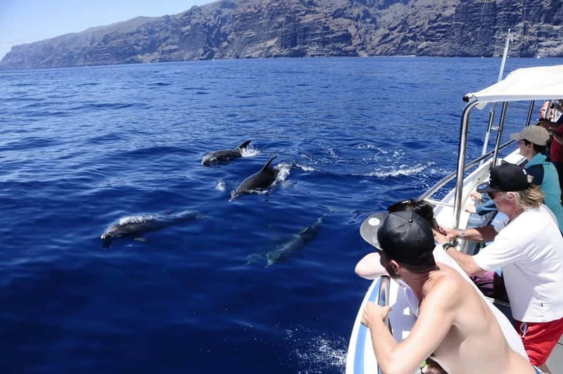 Los Gigantes: Whale or dolphin watching and swimming tour in Masca - Leaving Los Gigantes on a two-hour route