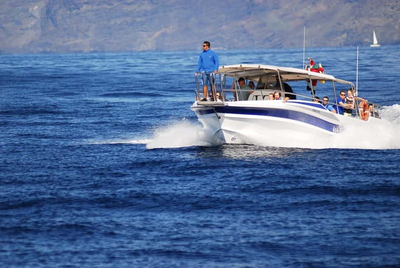 Los Gigantes: Whale or dolphin watching and swimming tour in Masca - Masca Bay beneath the cliffs