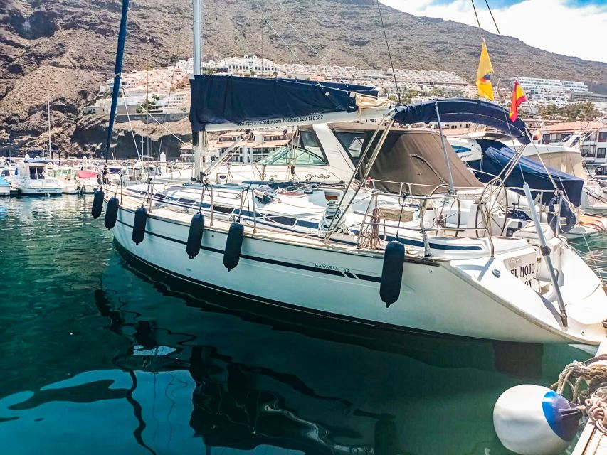 Los Gigantes: Whales and Dolphin Watching Cruise with Lunch - Who will enjoy this cruise most