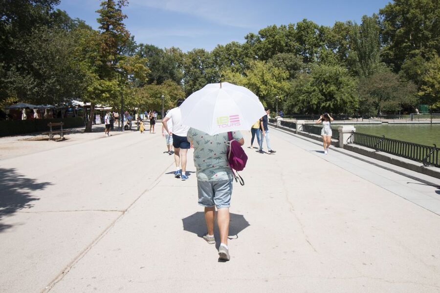 Madrid: 1.5-Hour Retiro Park Guided Walking Tour - Is $10 a good value for 90 minutes?