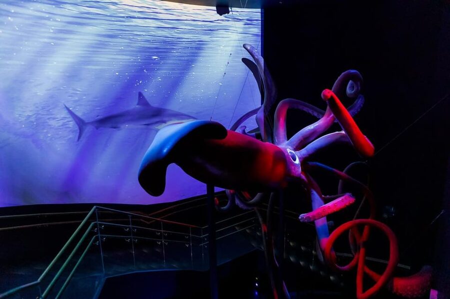 Madrid: Atlantis Aquarium Entry Ticket - Mangroves and coral reefs: seeing ecosystems rather than isolated animals