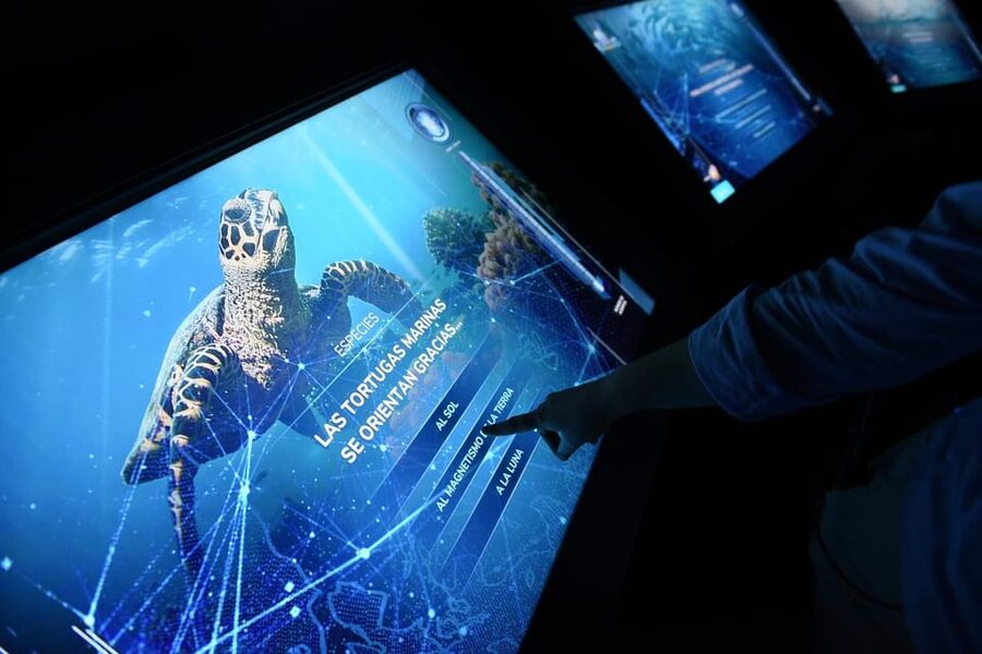 Madrid: Atlantis Aquarium Entry Ticket - Interactive stations that make the route more active