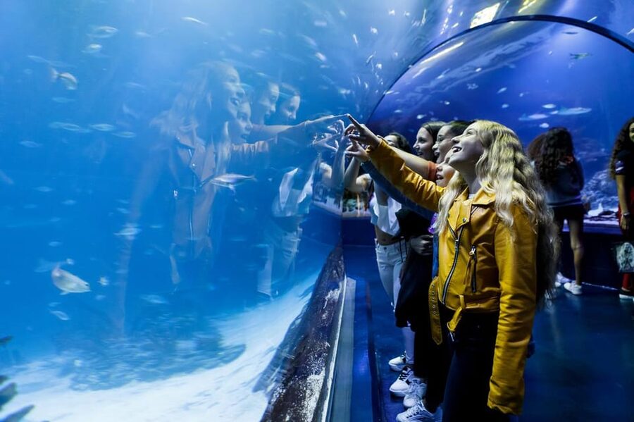 Madrid: Atlantis Aquarium Entry Ticket - The first aquariums: a gentle start for families