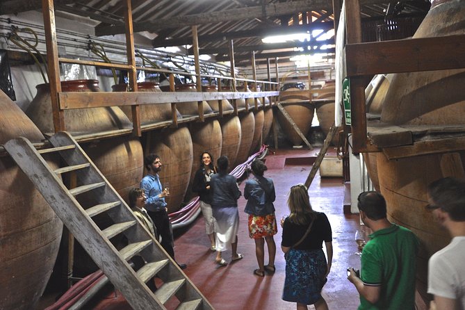 Madrid Countryside Wineries Guided Tour with Wine Tasting - Key points to know before you go