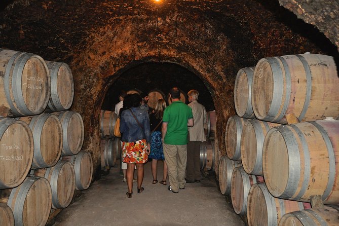 Madrid Countryside Wineries Guided Tour with Wine Tasting - Stop two: Bodega del Nero and the working bodega