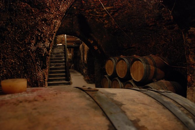 Madrid Countryside Wineries Guided Tour with Wine Tasting - What you actually eat with the wine