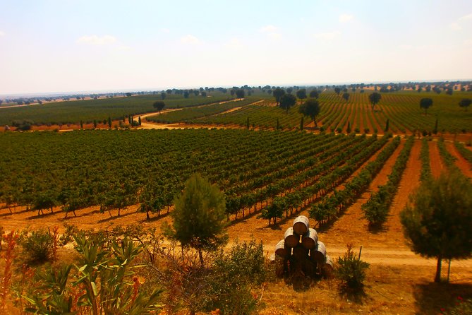 Madrid Countryside Wineries Guided Tour with Wine Tasting - Is $175.35 a fair price?