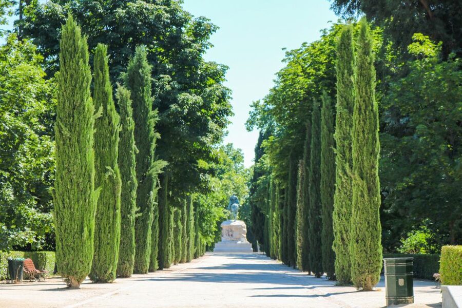 Madrid: El Retiro Park Self-Guided Audio Tour - How the audio app works in real use