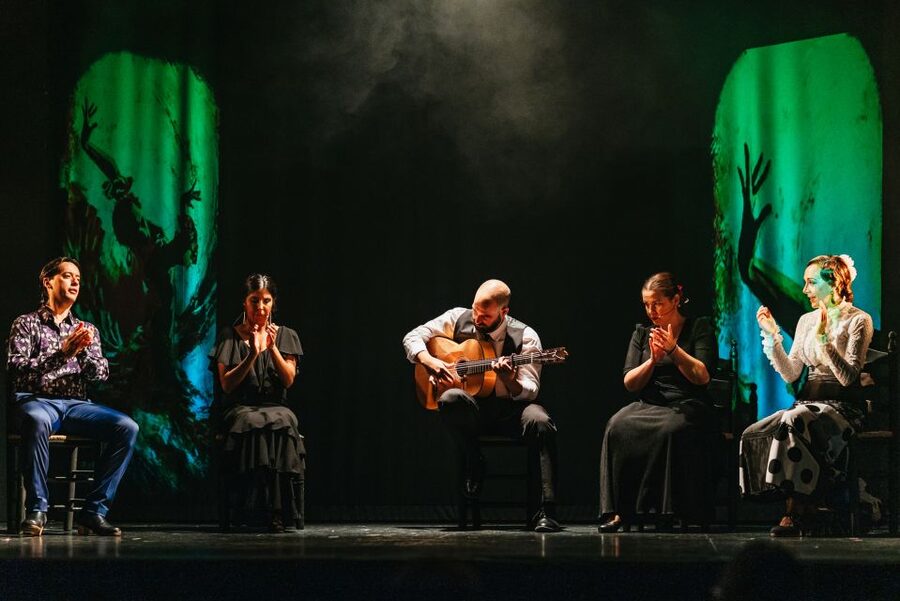Madrid: "Emociones" Live Flamenco Performance - What happens during the one-hour show