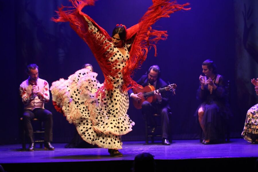 Madrid: "Emociones" Live Flamenco Performance - How good is the value at $34?