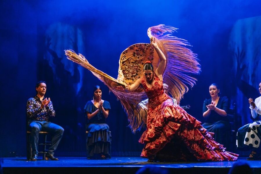 Madrid: "Emociones" Live Flamenco Performance - Drawbacks you should consider