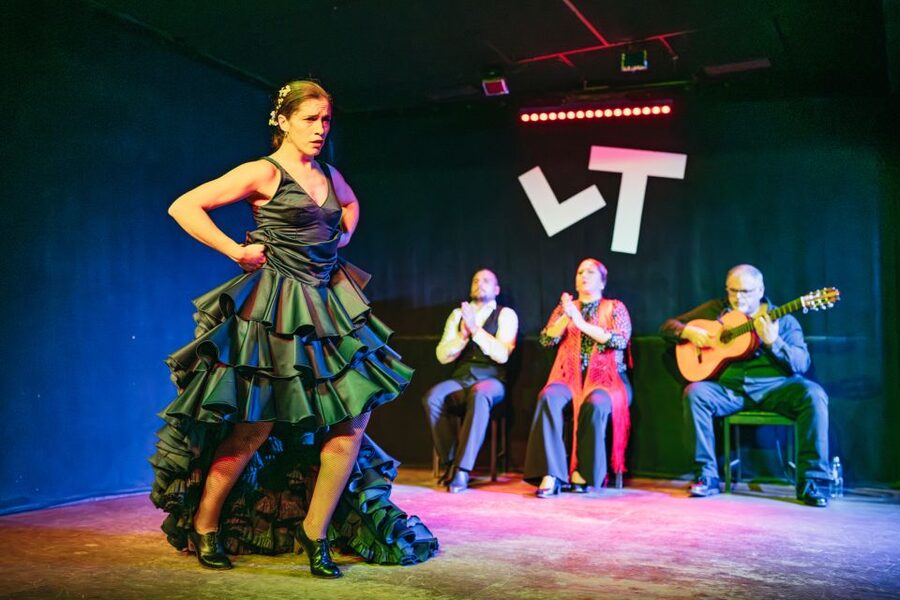 Madrid: Flamenco Show at Tablao "Las Tablas" with Drink - Is $36 good value for one hour?