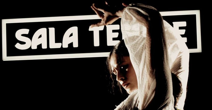 Madrid: Flamenco Show at Tablao Sala Temple with Drink - Key points to know before booking