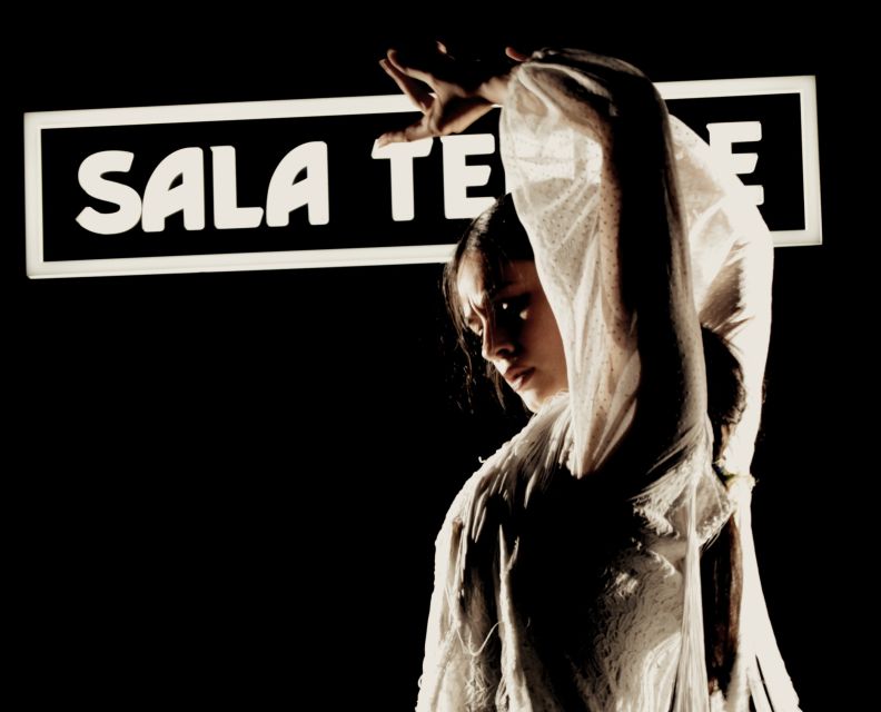 Madrid: Flamenco Show at Tablao Sala Temple with Drink - A drink, Spanish food, and the real cost