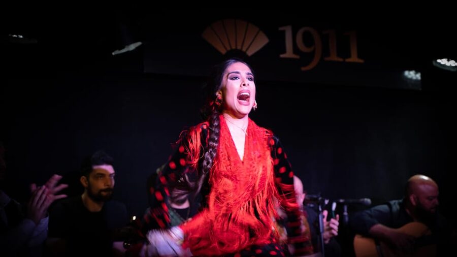 Madrid: Flamenco Show&Drink at Tablao 1911 (World's Oldest) - What the one-hour performance includes