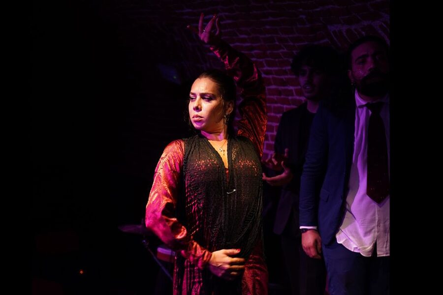 Madrid: Flamenco Show Entry Ticket with Drink & Artist Talk - Key points to know before booking