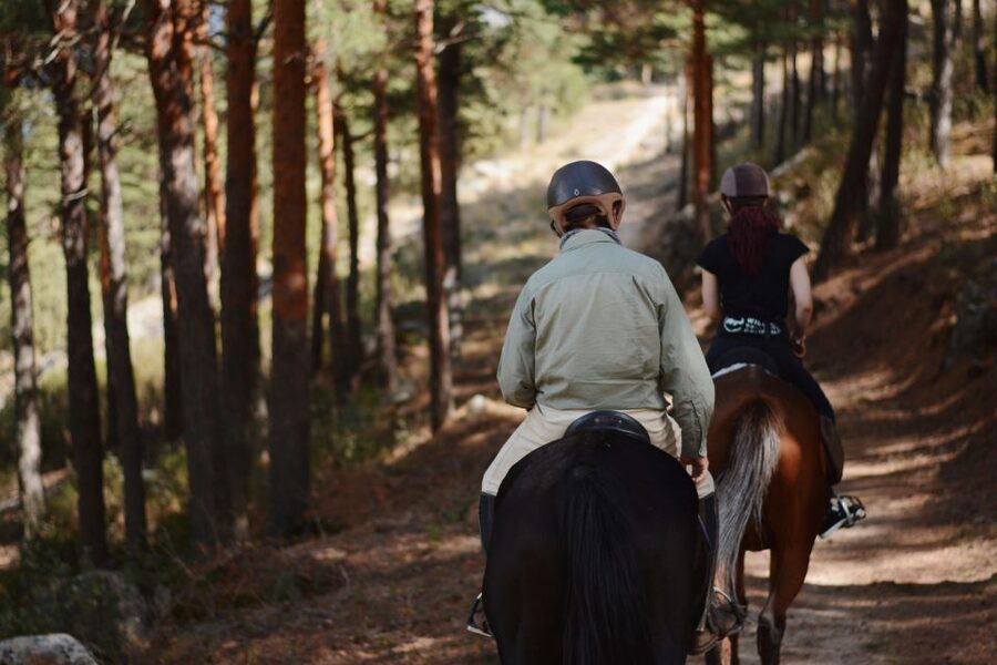 Madrid: Horse Riding in Sierra del Guadarrama National Park - Key points to know before you book