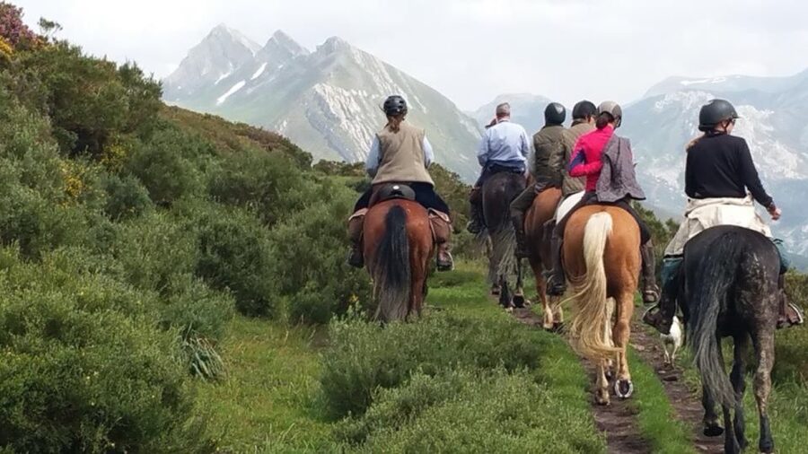 Madrid: Horse Riding in Sierra del Guadarrama National Park - Two hours on the mountain trail