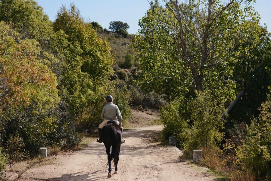 Madrid: Horse Riding in Sierra del Guadarrama National Park - What to bring and what to wear