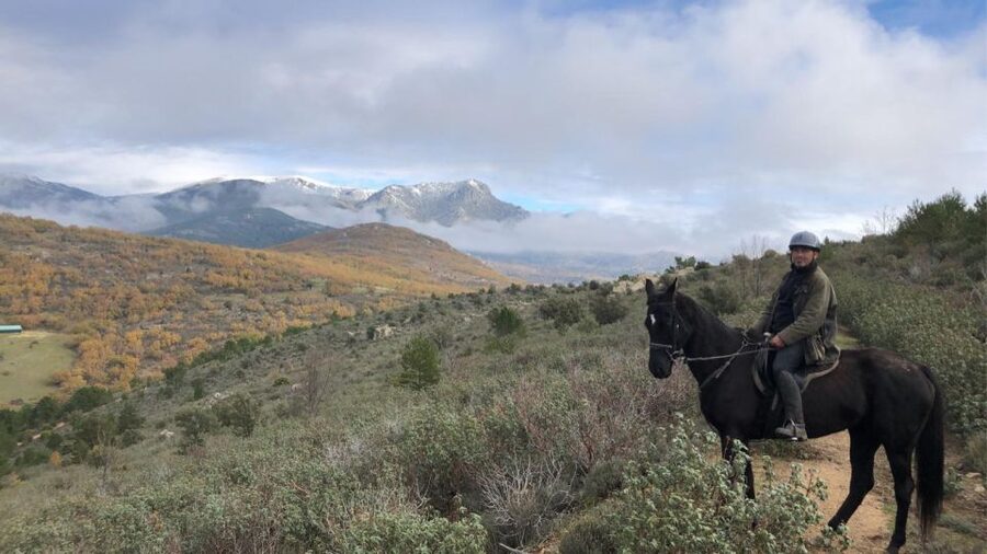 Madrid: Horse Riding in Sierra del Guadarrama National Park - My practical verdict