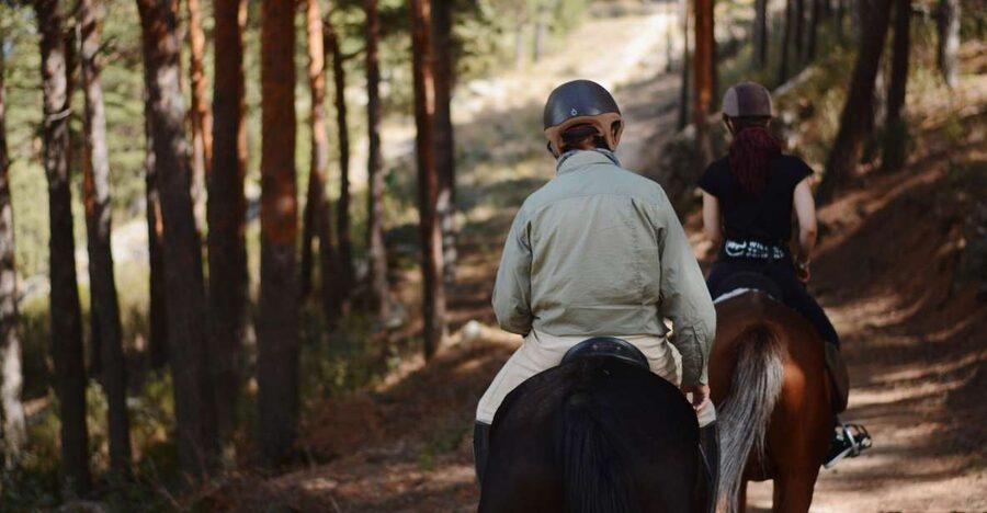 Madrid: Horse Riding in Sierra del Guadarrama National Park - Meeting the horses near Navacerrada