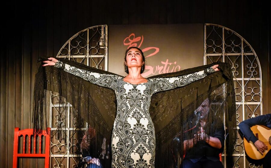 Madrid: Local Flamenco Show at El Cortijo - What the workshop adds