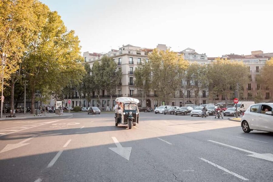 Madrid: Private City Tour by Eco Tuk Tuk - Retiro Park, the rose garden, and Puerta de Alcalá