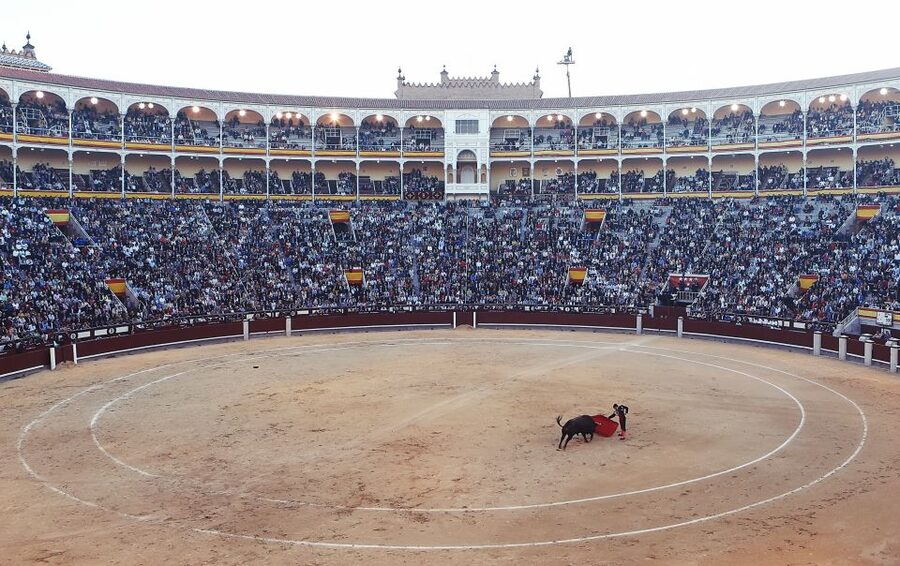 Madrid: Private Customized Walking Tour with a Local Host - The value of a private local host