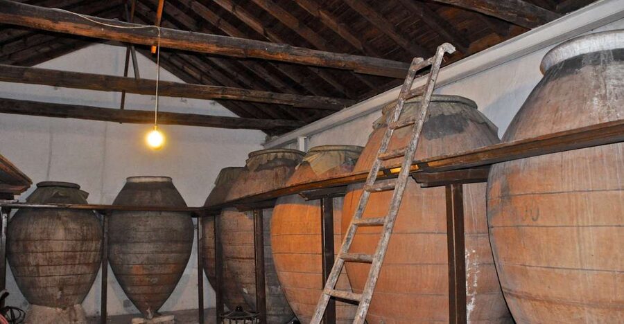 Madrid Region Wineries Guided Tour with Wine Tastings - Key points at a glance